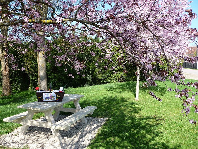 2010-04-11 -  8 Low.JPG